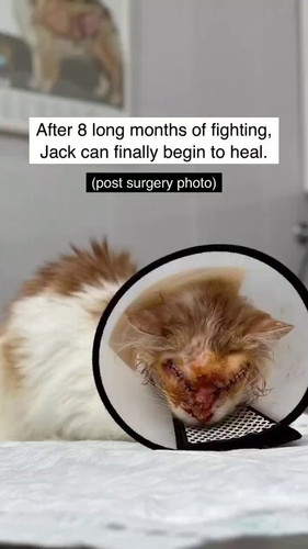 lU7dNpP07tX8boX .jpg