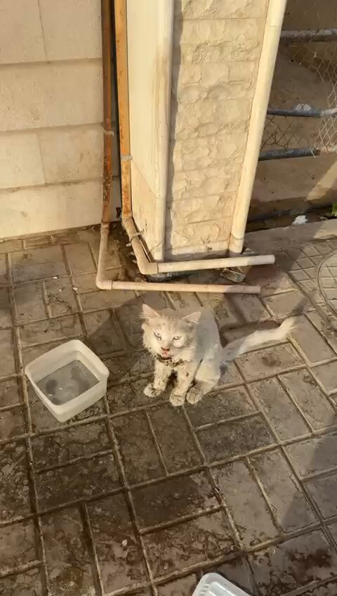 NF OX0pMNKsxkSiC.jpg