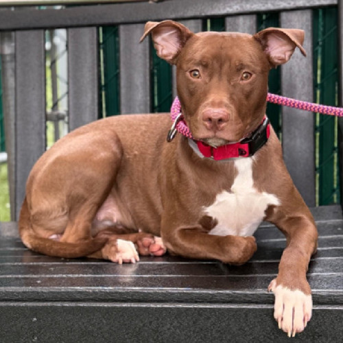 GupE6ZzXAAA mGb?format=jpg.jpg