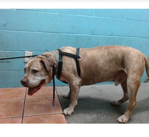 GtCF8HTboAAv9X ?format=jpg.jpg