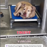 GutCP1KaIAA QqS?format=png.png