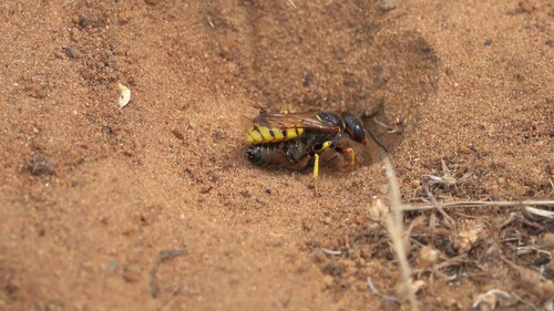 49k4GestE5 uaXTk.jpg