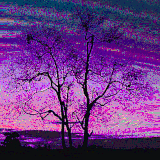 purple tree
