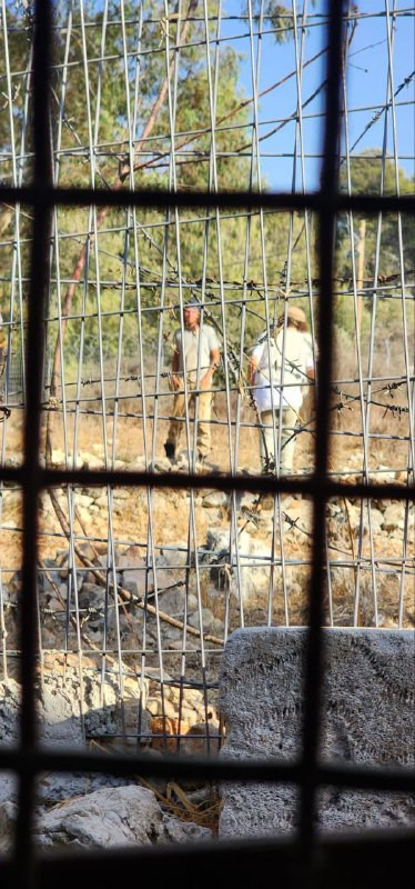 مصادر محلية: مليشيات المستوطنين تهاجم منزلا في قرية أم صفا شمال غرب رام الله....