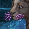 whiskers thumb.png
