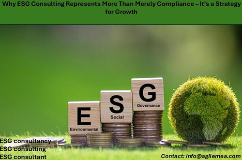 ESG.jpg