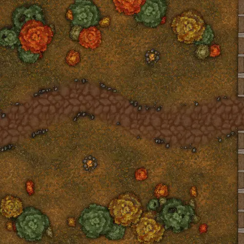 Rua de ninho verde 4.webp