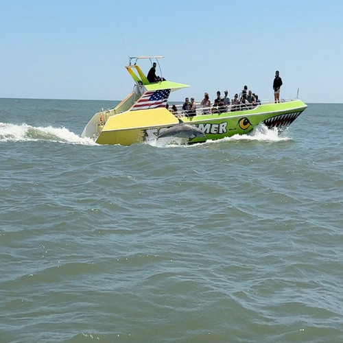 Dolphin Sightings In Ocean City.jpg