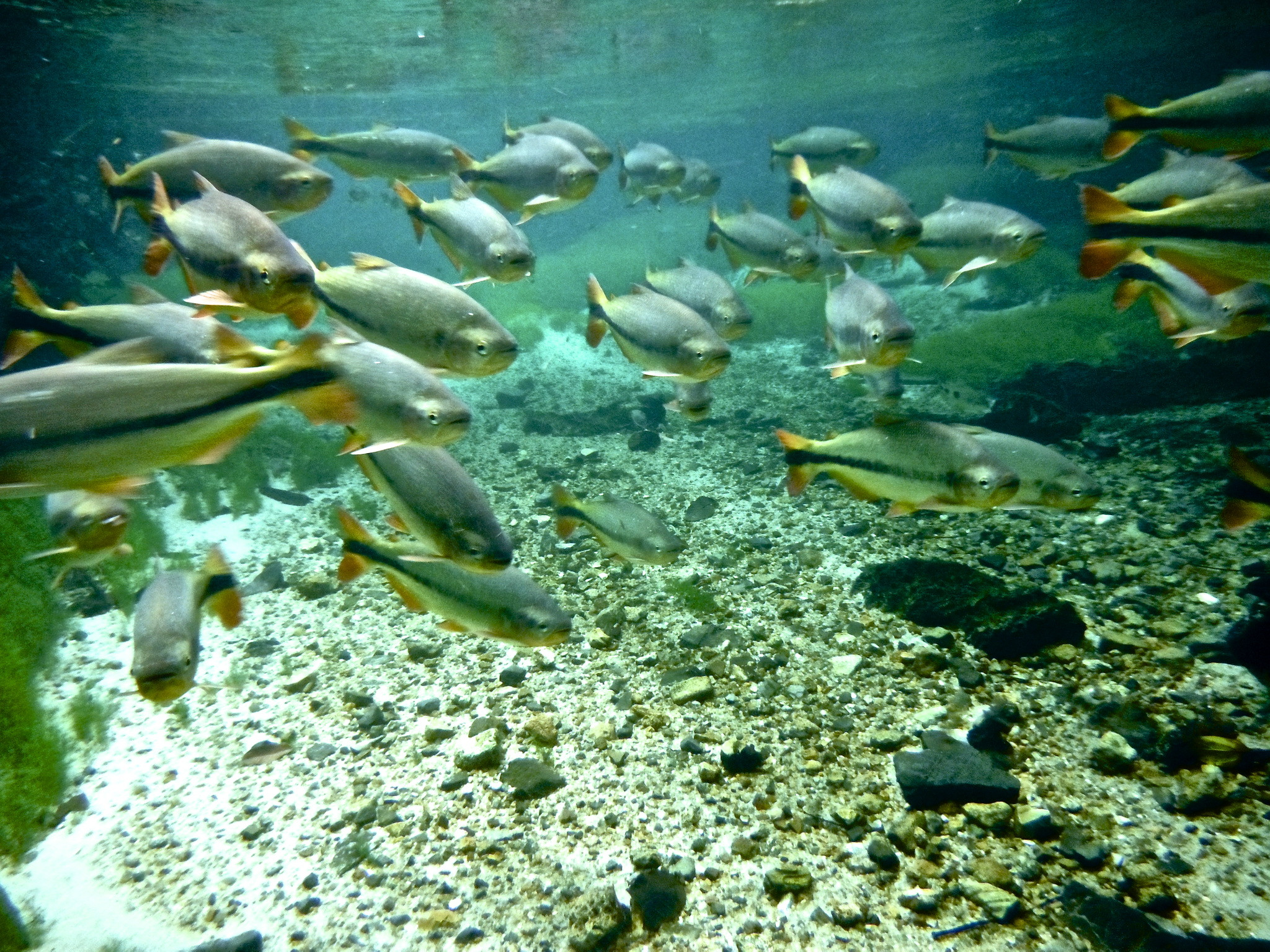 Cachoeira em Nobres, Mato Grosso.