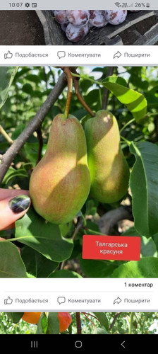 Screenshot 20230411 100733 Facebook.jpg