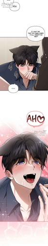 12.png