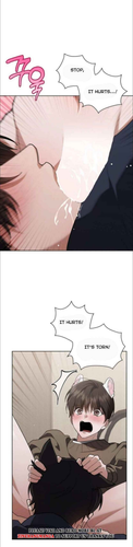 8.png