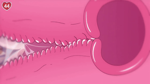 mezgif 21476f3eb00a5c.gif