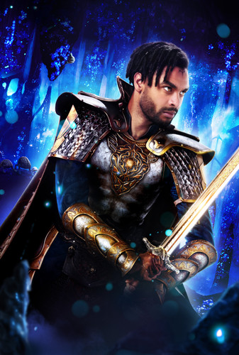 [8430x12500]dnd intl dgtl teaser 1sheet paladin