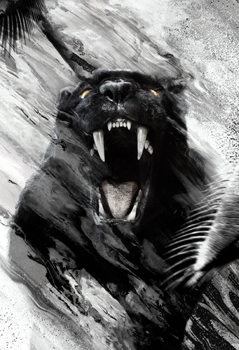 textless 2000x2937dd hat c2 v1 52828151127 o