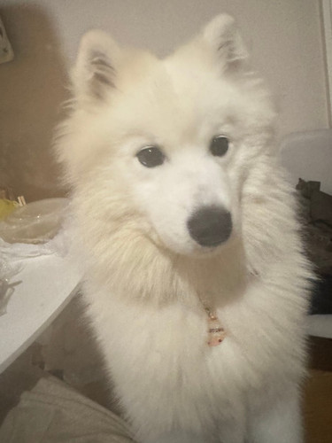 GtqdXWlWEAAW5QO.jpg