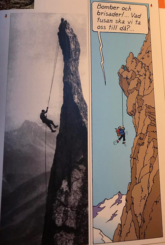 Tintin IMG 2853.jpg