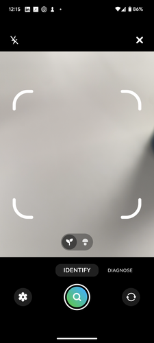 Screenshot 20250618 121526.png