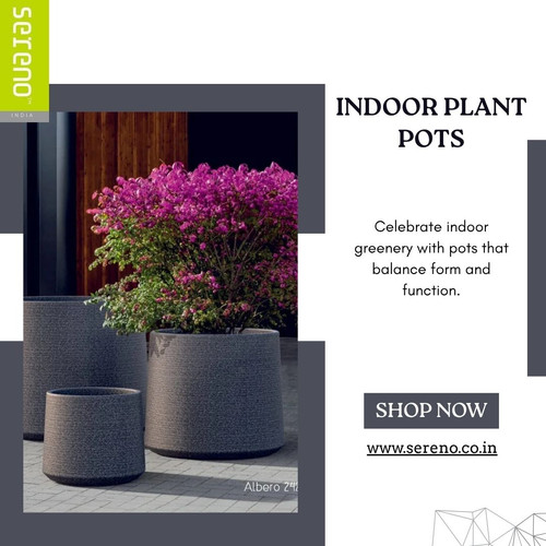 Refresh Your Corners with Indoor Plant Pots.jpg