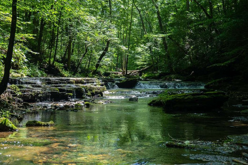 beautiful scenery river surrounded by greenery during daytime 181624 36909.jpg