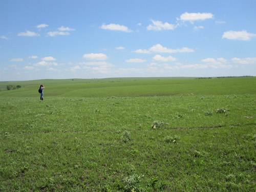 highland ranch prairie by rachel roth.jpg