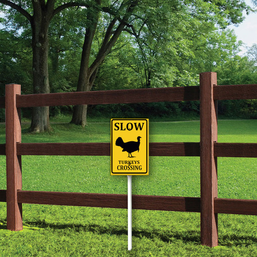 slow turkeys crossing 1.jpg