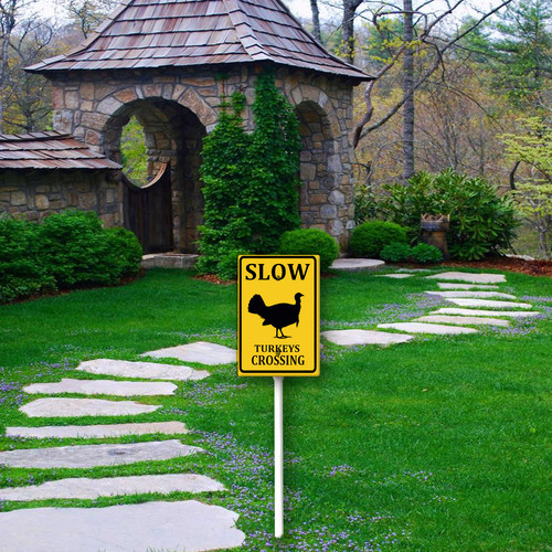 slow turkeys crossing 2.jpg