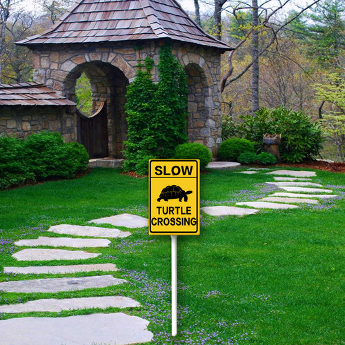 slow turtle crossing 2.jpg