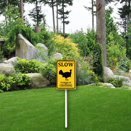 slow turkeys crossing 3.jpg