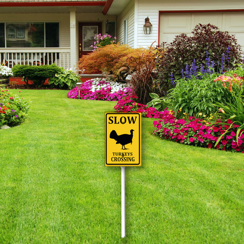 slow turkeys crossing 4.jpg