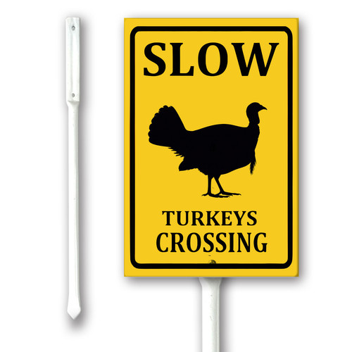 slow turkeys crossing.jpg