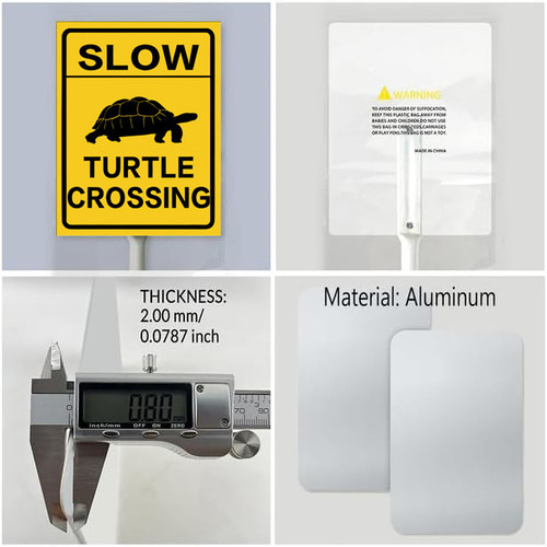 slow turtle crossing 5.jpg