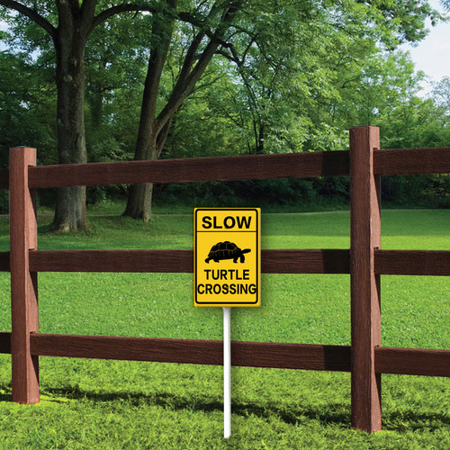 slow turtle crossing 1.jpg
