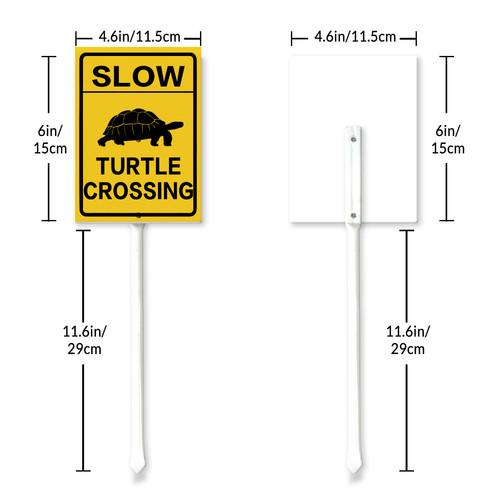 slow turtle crossing 6.jpg