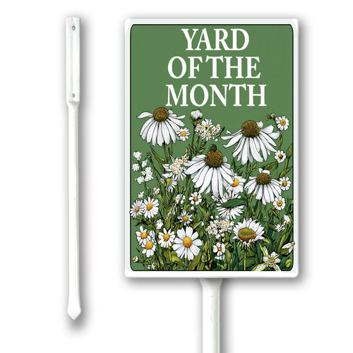 yard of the month 002.jpg