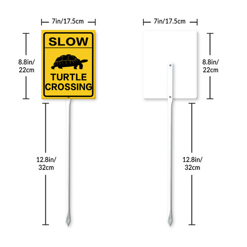 slow turtle crossing 7.jpg