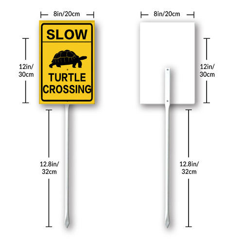 slow turtle crossing 8.jpg