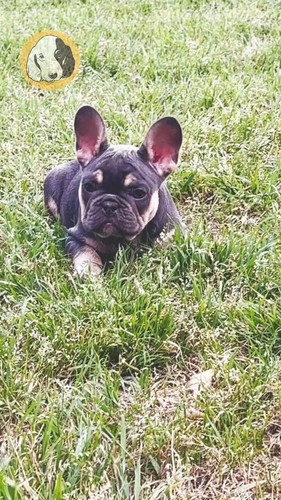 yHJWXwaVo1r0cbpd.jpg