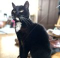 GtrHDLNaQAM3uTw?format=png.png