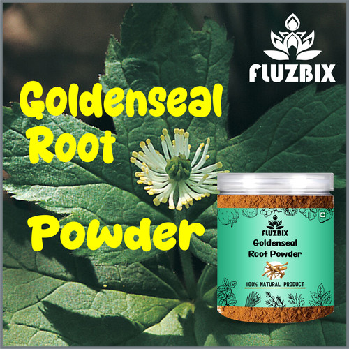 Goldenseal Root POWDER.jpg
