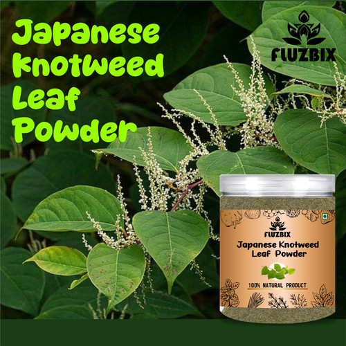 Japanese Knotweed LEAF Powder.jpg