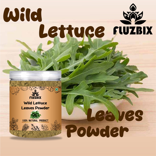 Wild Lettuce Leaves Powder.jpg