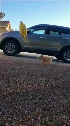 RXnwmMYhKvGfBRCe.jpg
