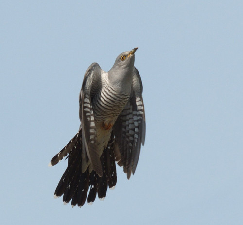 GtqHnK7WMAIXU4K.jpg