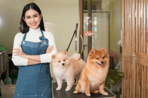 Dog Wellness Services - Petsercise Field Hire & Pack Walking (wagtail).jpg