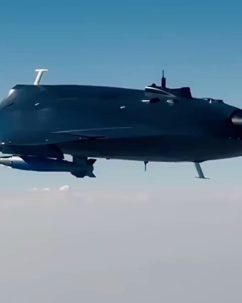 62rskdZ6GyOioSqO.jpg
