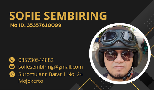 Gold Elegant Business Card 20241113 234011 0001.2