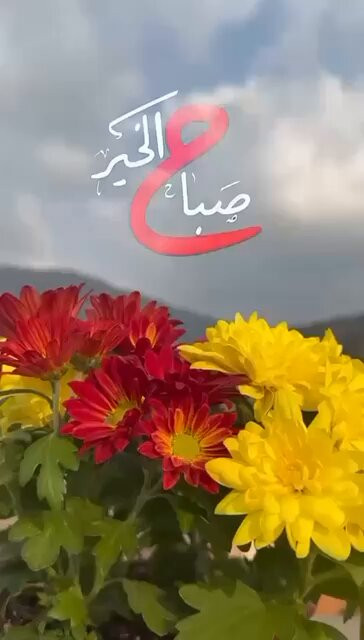 IiSQJojNGpa4tt8A.1