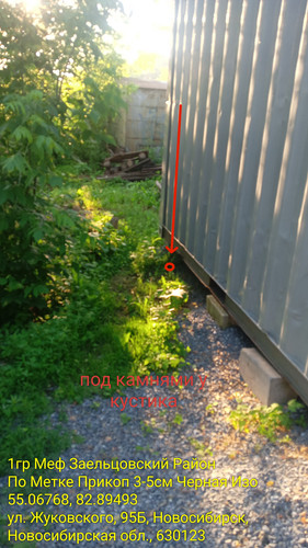 1000062363.1