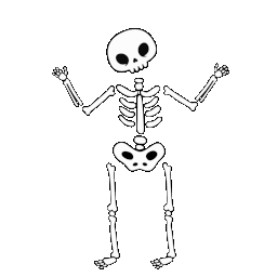 skeleton 17793 256.gif